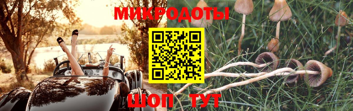 Новозыбков  Псилоцибиновые грибы Magic Shrooms  Псилоцибиновые грибы Magic Shrooms  Вход с VPN 